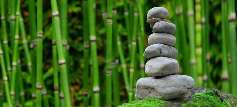 City Zen Gardens